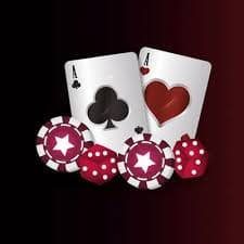 355 bet