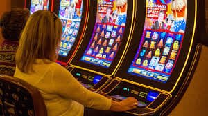 355 bet